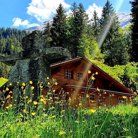 Alpenlodge Willigen Dış mekan fotoğraf