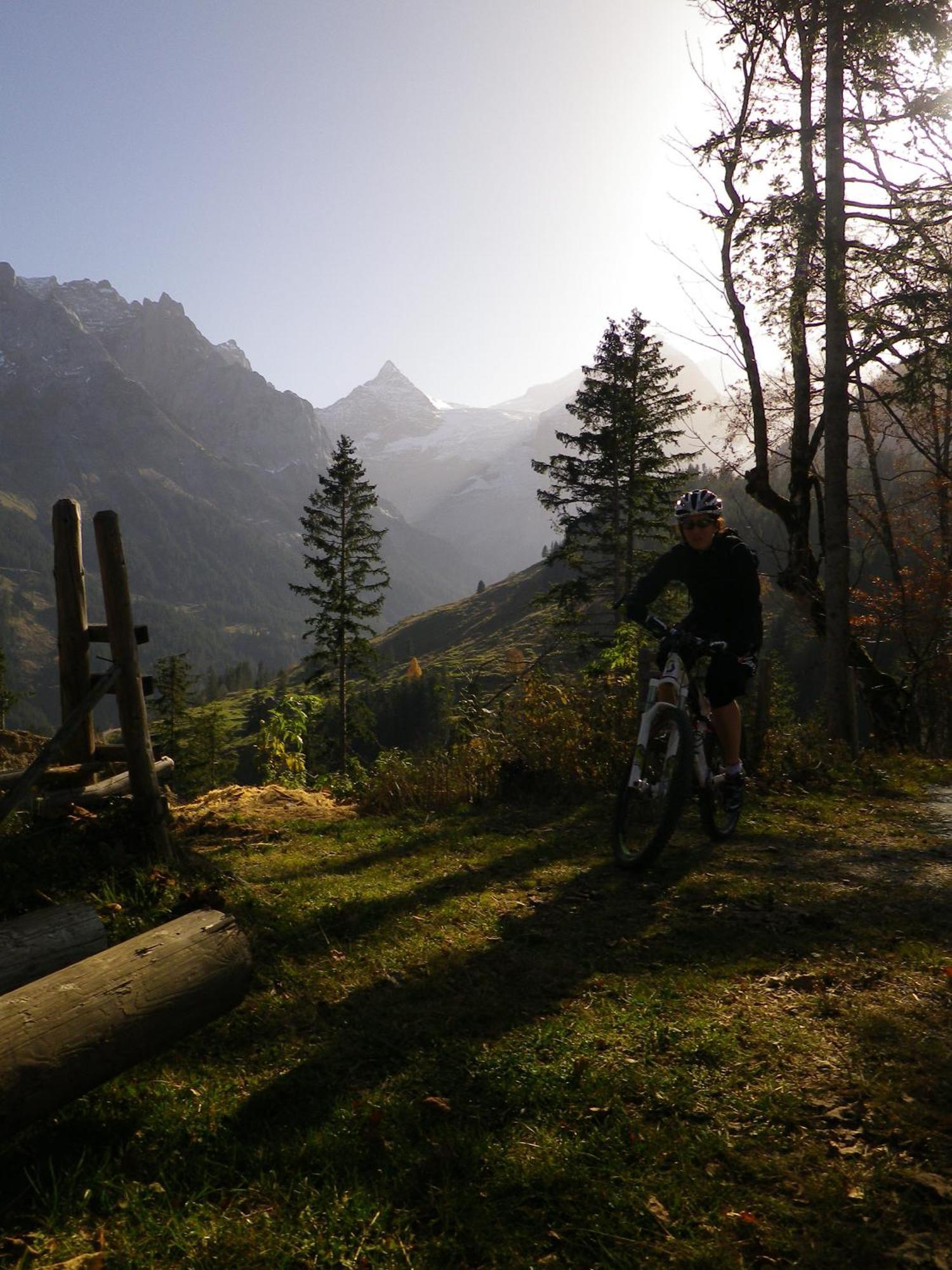Alpenlodge Willigen Dış mekan fotoğraf