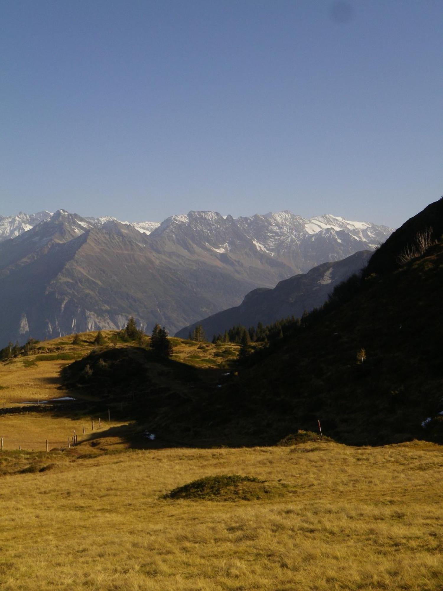 Alpenlodge Willigen Dış mekan fotoğraf
