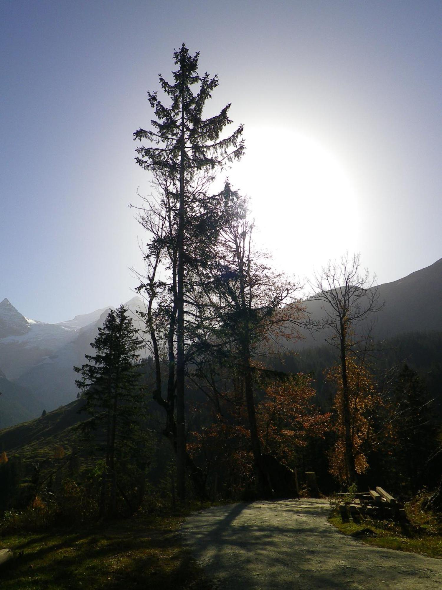 Alpenlodge Willigen Dış mekan fotoğraf