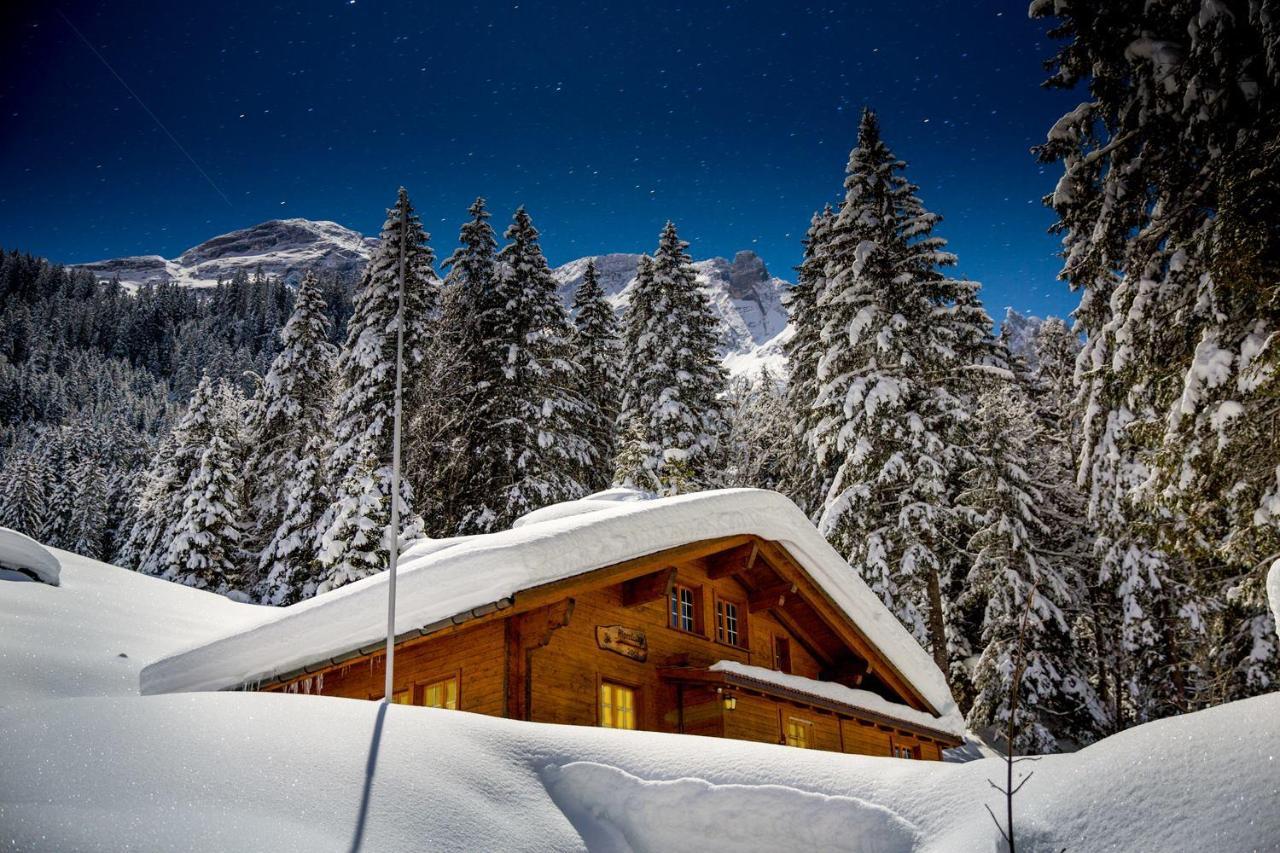 Alpenlodge Willigen Dış mekan fotoğraf
