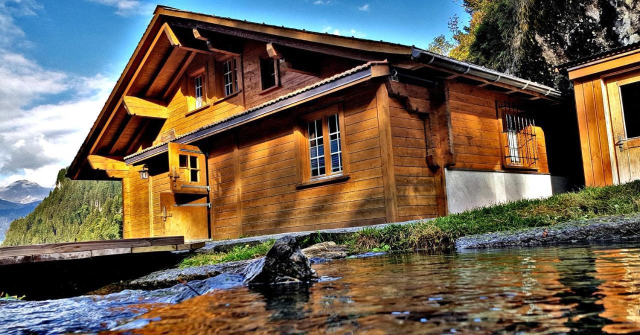 Alpenlodge Willigen Dış mekan fotoğraf