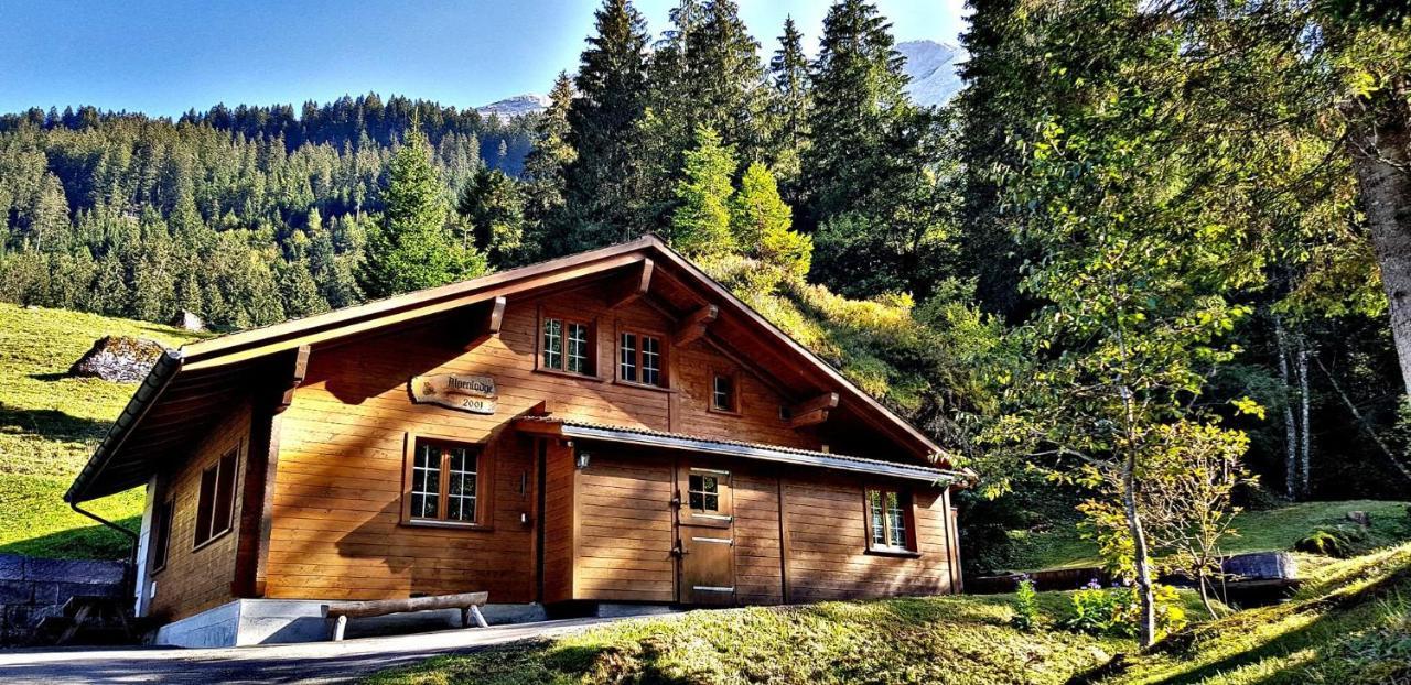 Alpenlodge Willigen Dış mekan fotoğraf