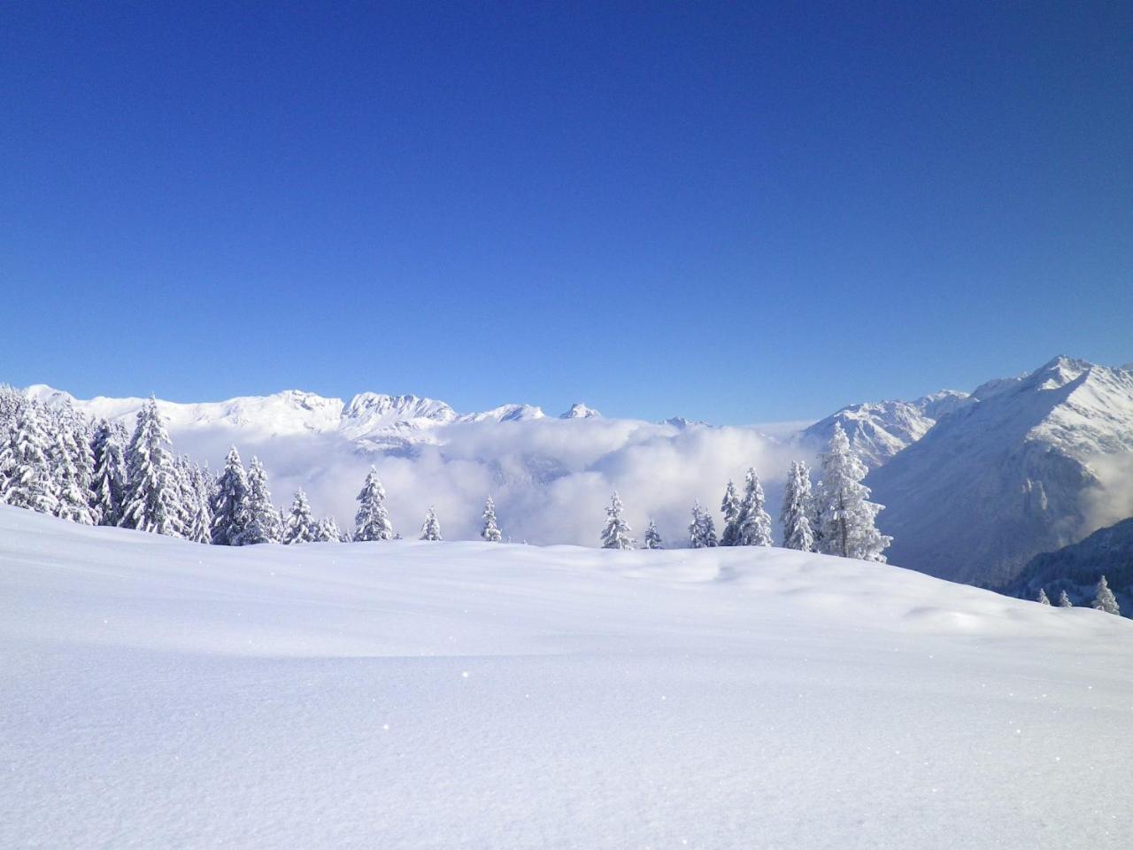 Alpenlodge Willigen Dış mekan fotoğraf