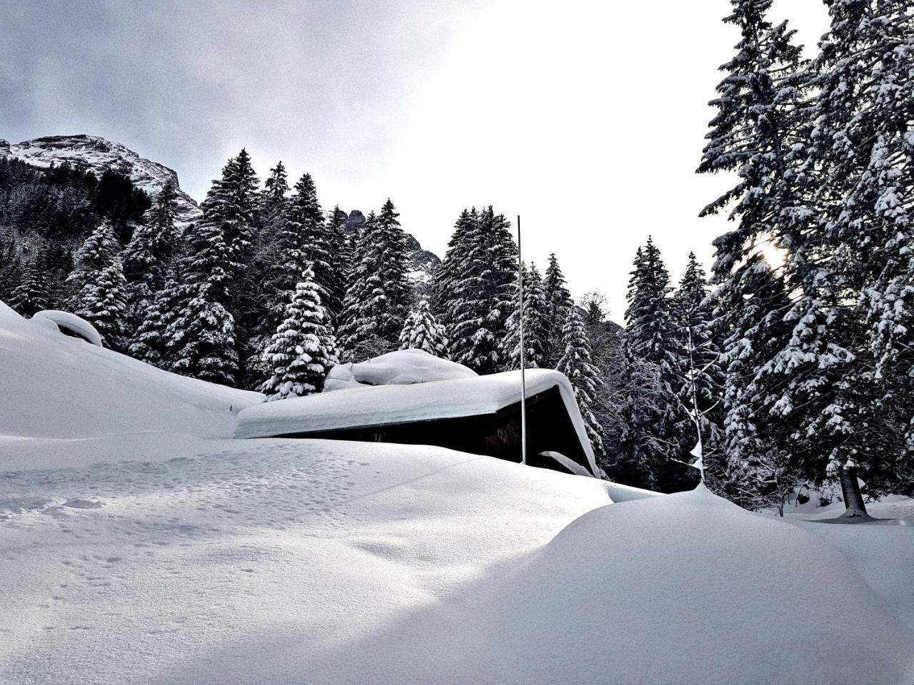 Alpenlodge Willigen Dış mekan fotoğraf