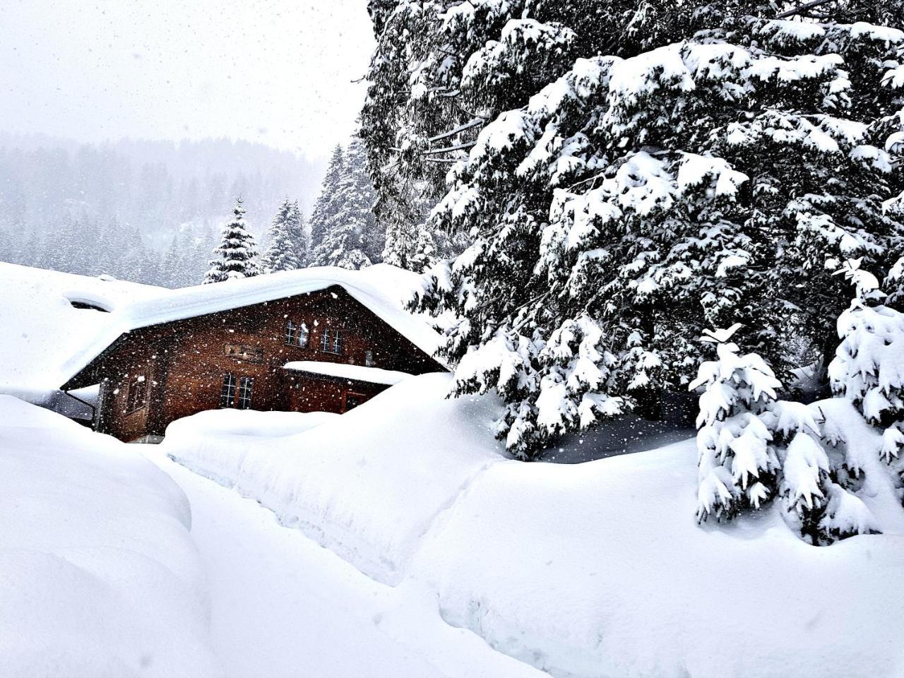 Alpenlodge Willigen Dış mekan fotoğraf