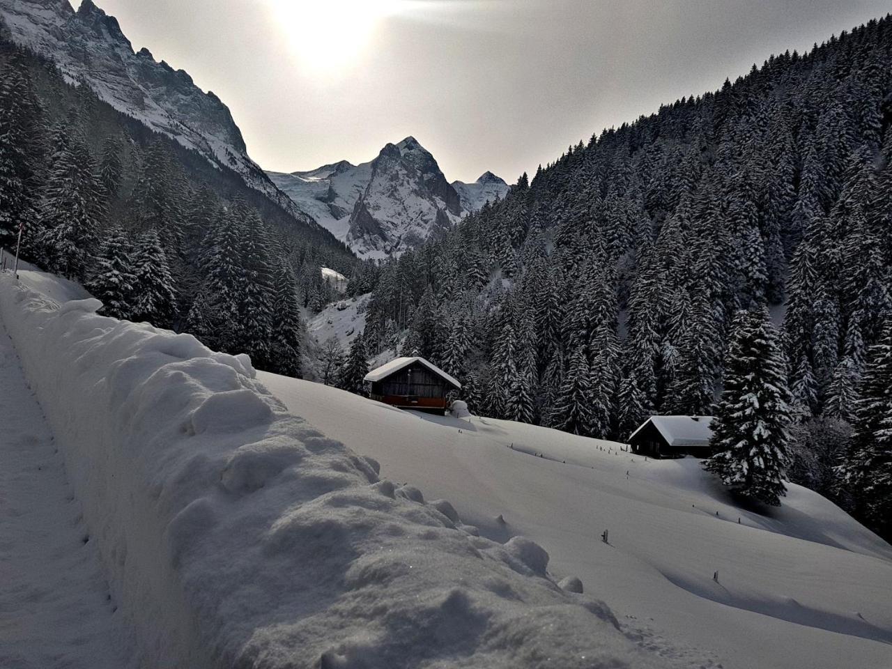 Alpenlodge Willigen Dış mekan fotoğraf