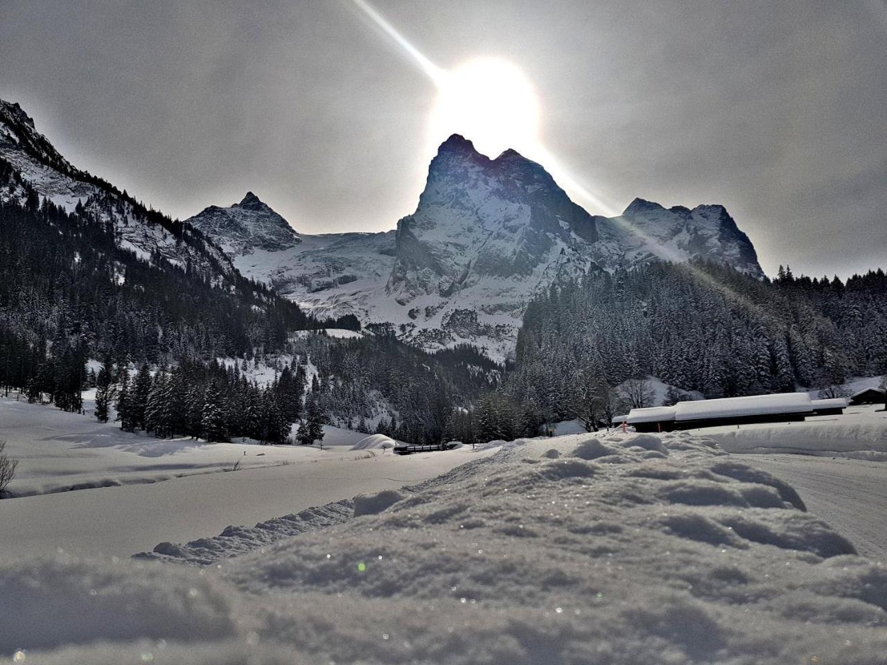Alpenlodge Willigen Dış mekan fotoğraf