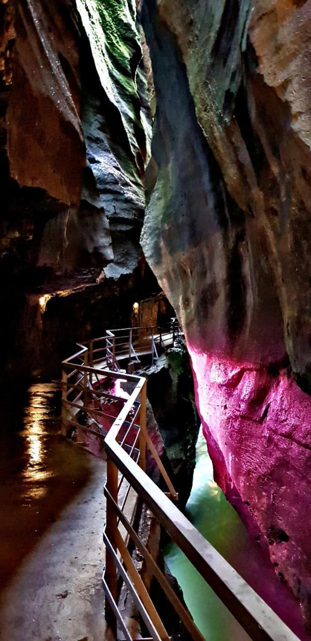 Alpenlodge Willigen Dış mekan fotoğraf