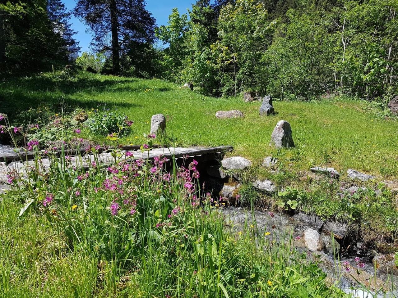 Alpenlodge Willigen Dış mekan fotoğraf