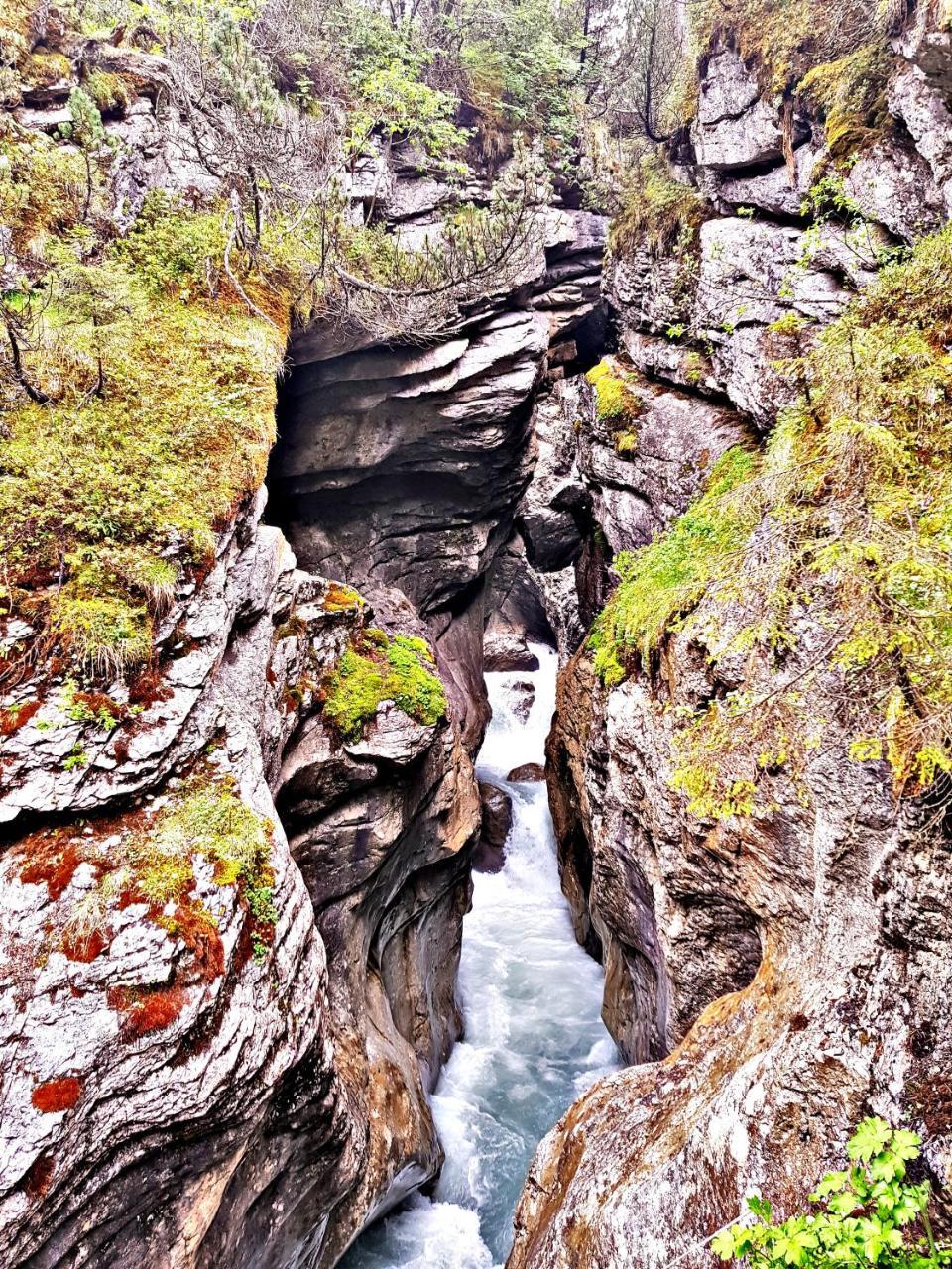 Alpenlodge Willigen Dış mekan fotoğraf