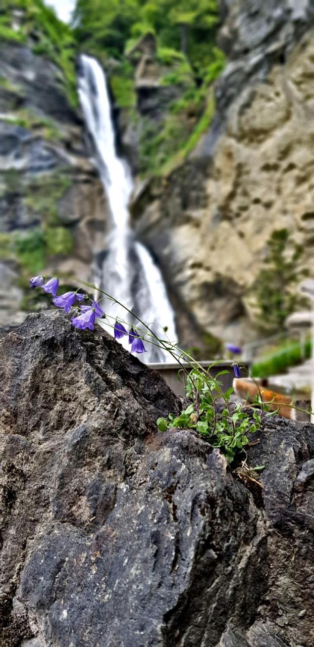 Alpenlodge Willigen Dış mekan fotoğraf