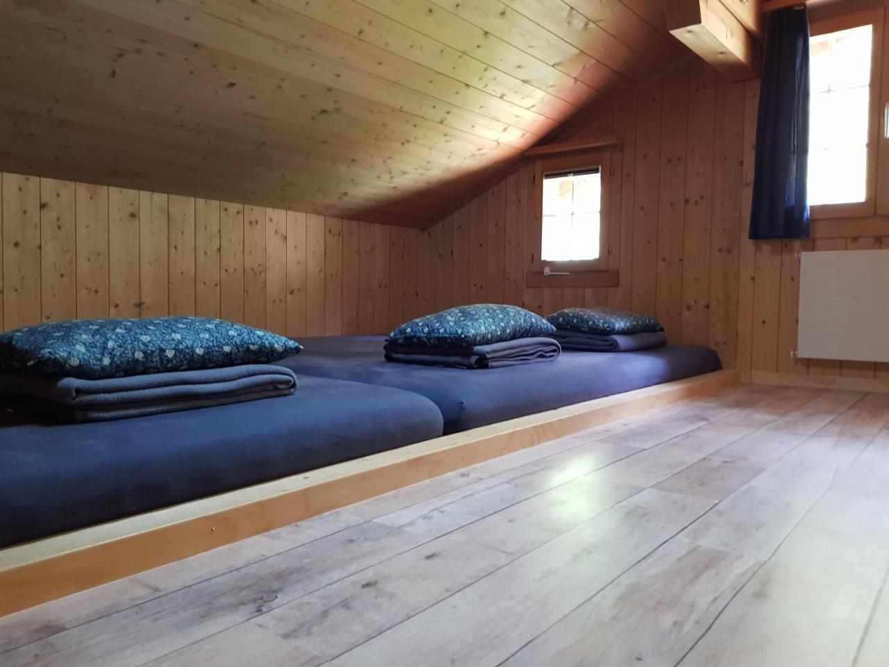 Alpenlodge Willigen Dış mekan fotoğraf