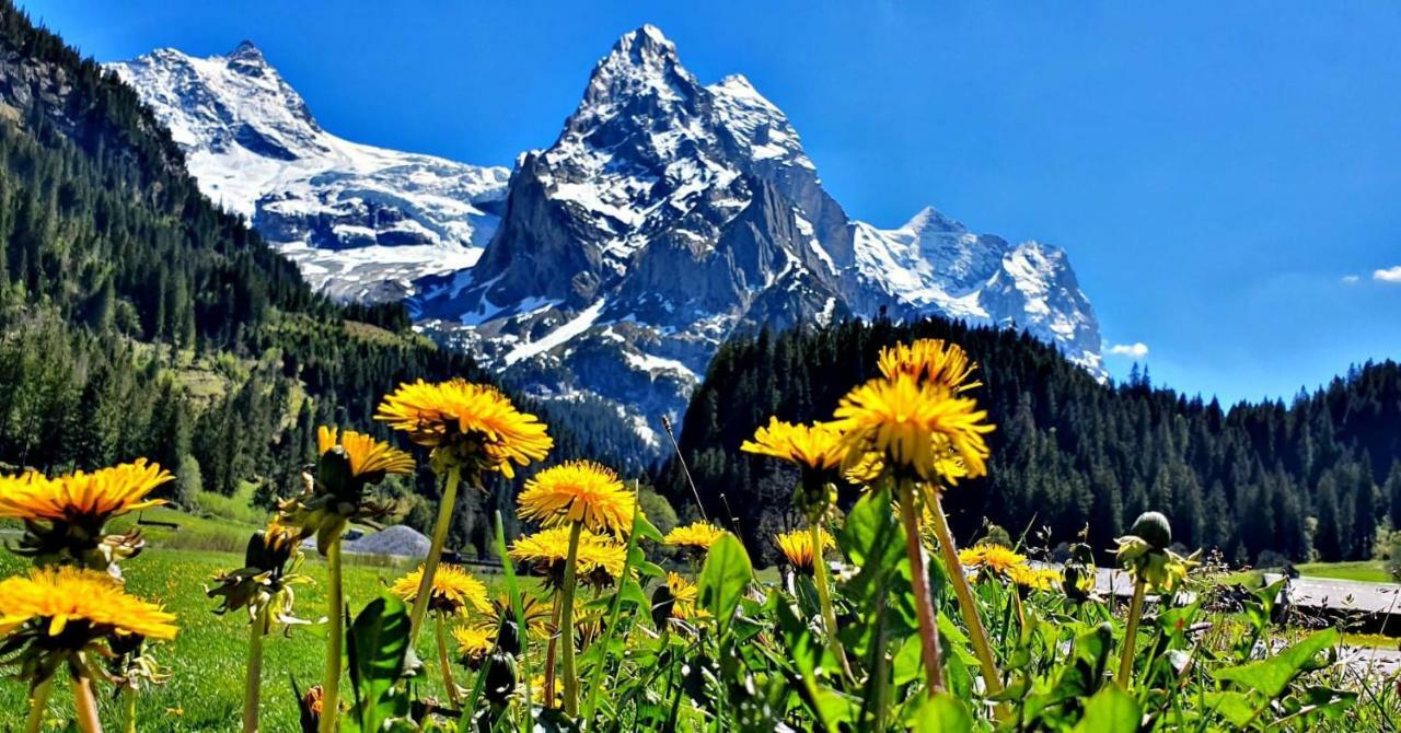 Alpenlodge Willigen Dış mekan fotoğraf