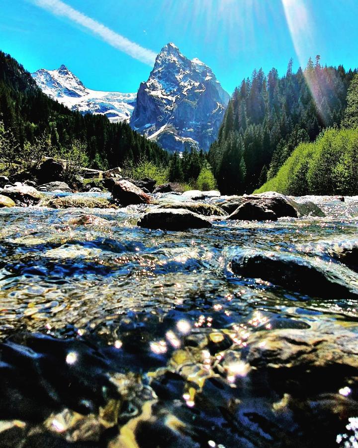 Alpenlodge Willigen Dış mekan fotoğraf
